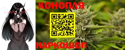 молекула духа Тверь