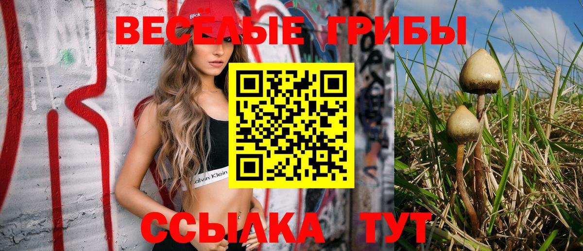 Псилоцибиновые грибы мицелий  Вход с VPN  Ставрополь 